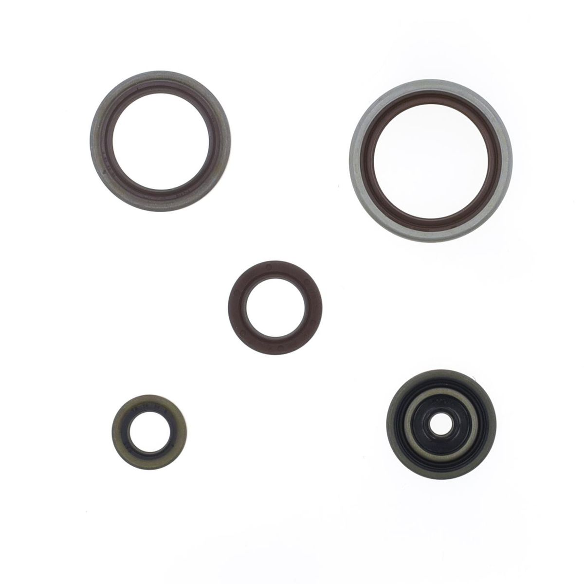 Sada gufier motora BETA RR 250/300 2T