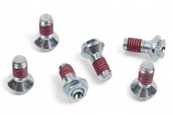 Skrutky brzdového kotúča M6 x 11 Kawasaki/Suzuki/Yamaha 6 ks